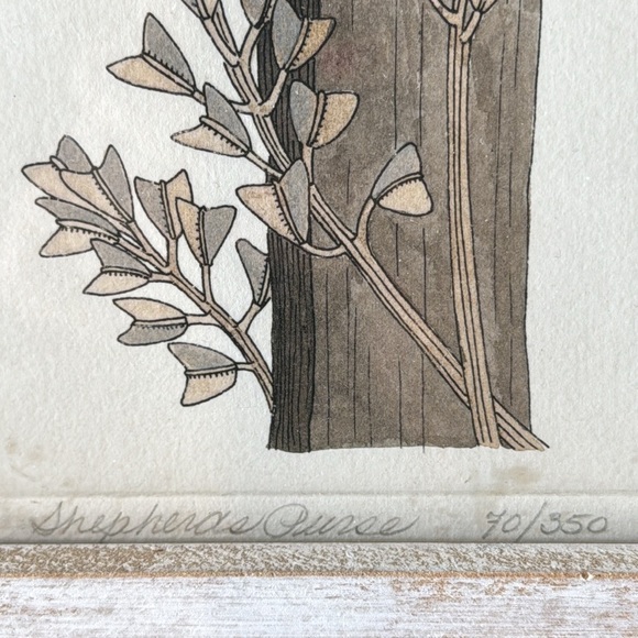 Yvonne Davis Framed Bird Art Lithograph Signed & Numbered - Picture 7 of 10